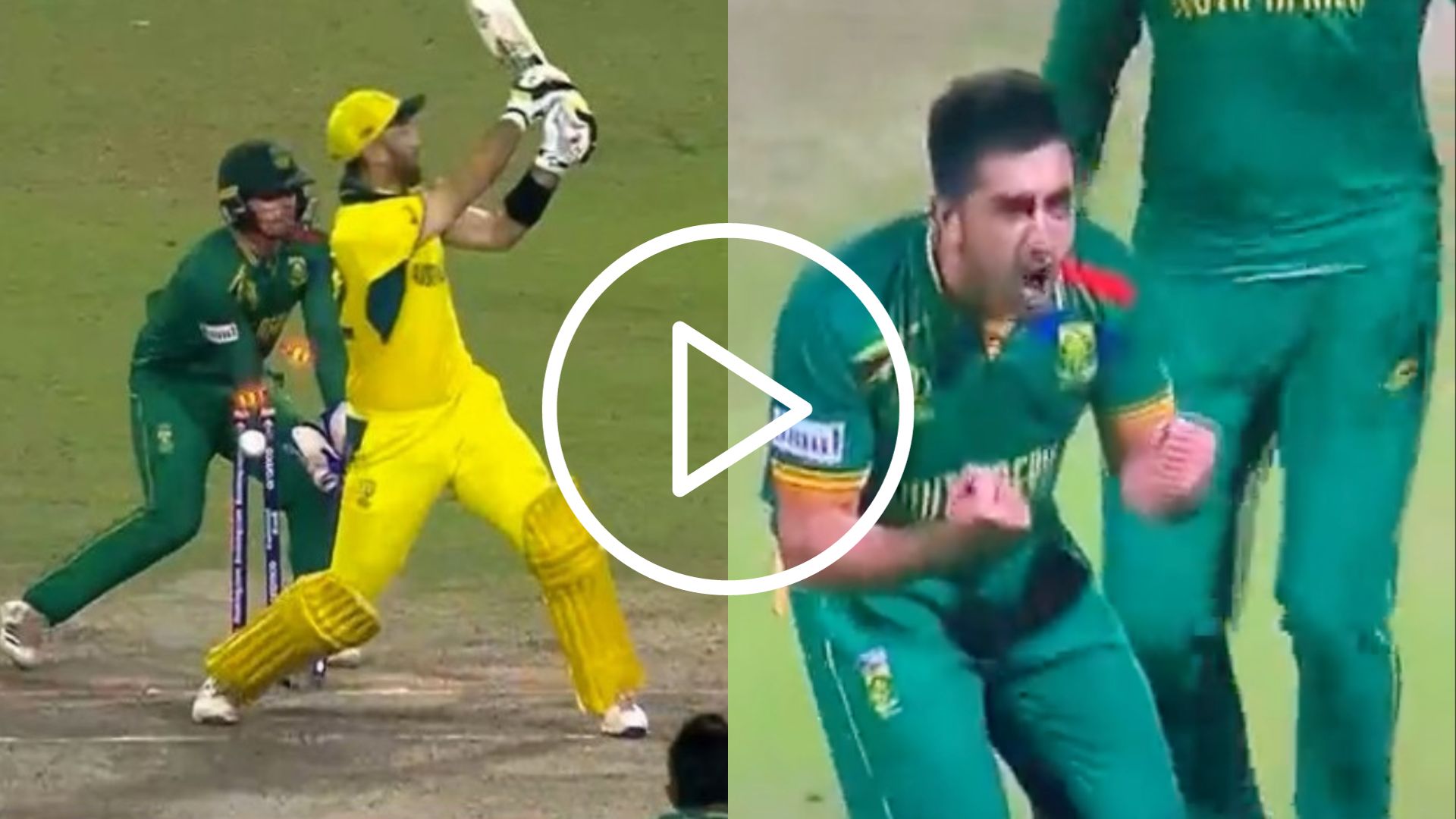 [Watch] Tabraiz Shamsi ‘Dismantles’ Glenn Maxwell With A Beauty; Celebrates Like Imran Tahir